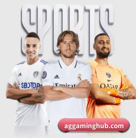 ag真人 APP