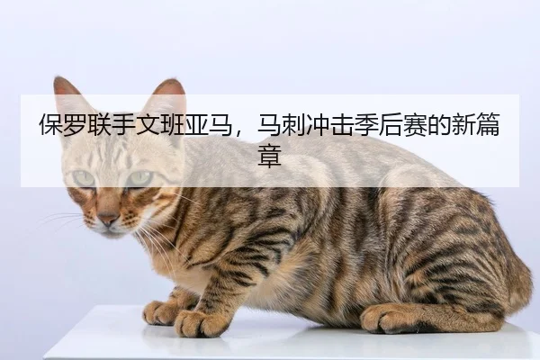 保罗联手文班亚马，马刺冲击季后赛的新篇章